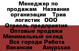Менеджер по продажам › Название организации ­ Триа логистик, ООО › Отрасль предприятия ­ Оптовые продажи › Минимальный оклад ­ 1 - Все города Работа » Вакансии   . Амурская обл.,Райчихинск г.